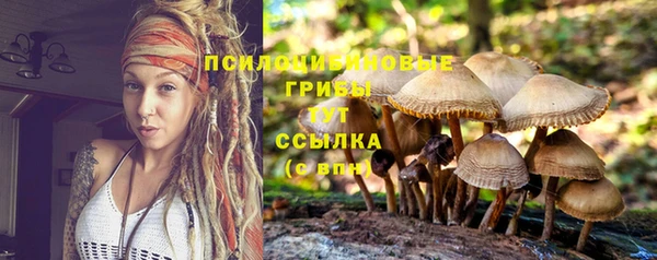 твердый Алексин