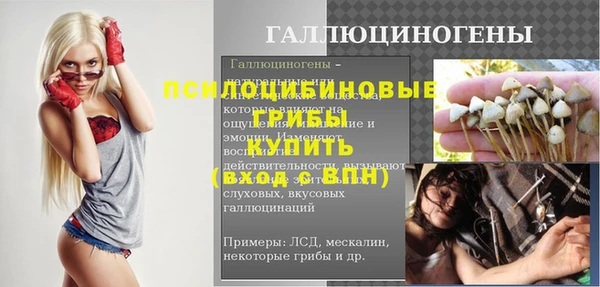 твердый Алексин