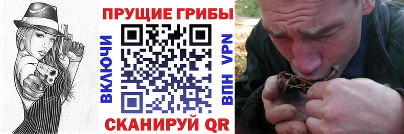 купить закладку Спасск Галлюциногенные грибы Cubensis